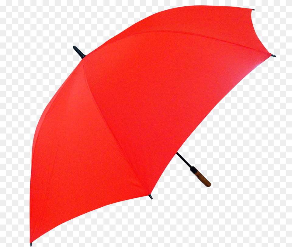 Umbrella, Canopy Free Png