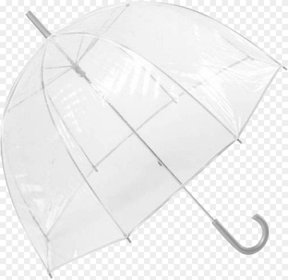 Umbrella, Canopy Free Png