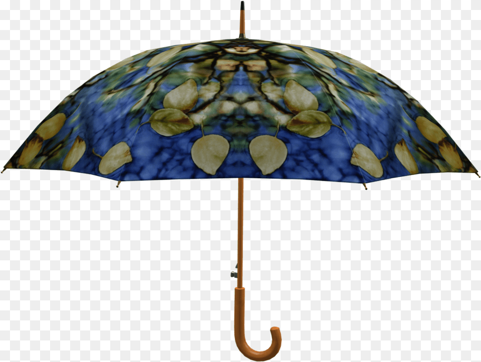 Umbrella, Canopy Png