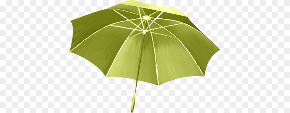 Umbrella, Canopy Free Png