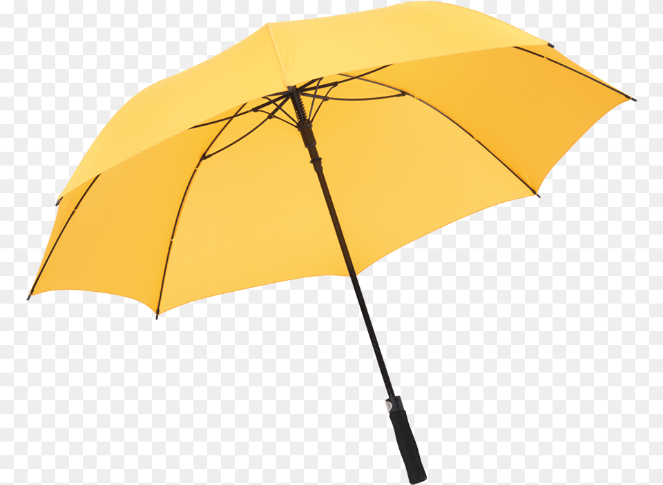 Umbrella, Canopy Free Transparent Png