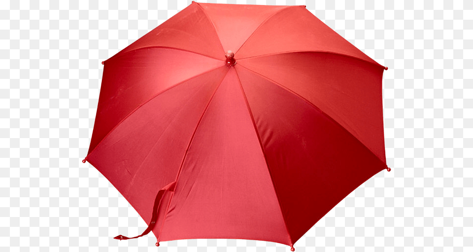 Umbrella, Canopy Free Transparent Png