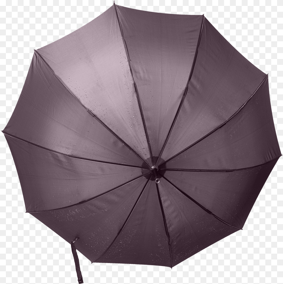 Umbrella, Canopy Free Transparent Png