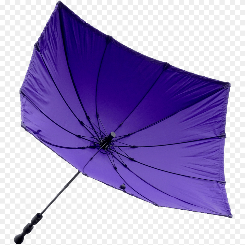 Umbrella, Canopy Free Png