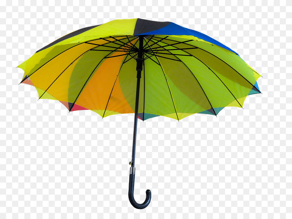 Umbrella, Canopy Free Transparent Png