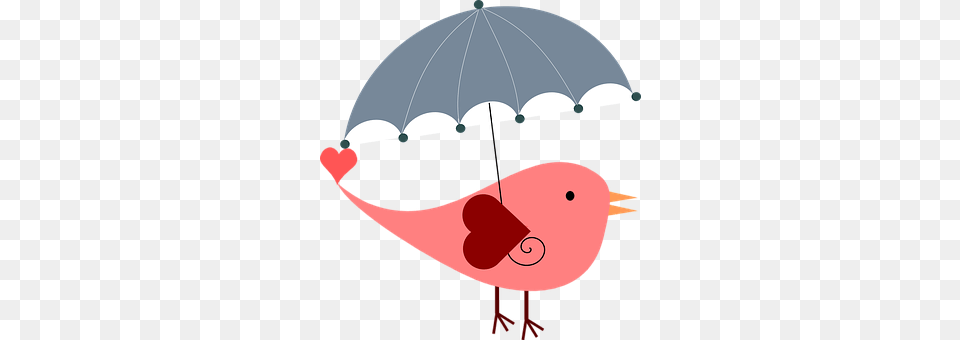 Umbrella Animal, Fish, Sea Life, Shark Free Png Download
