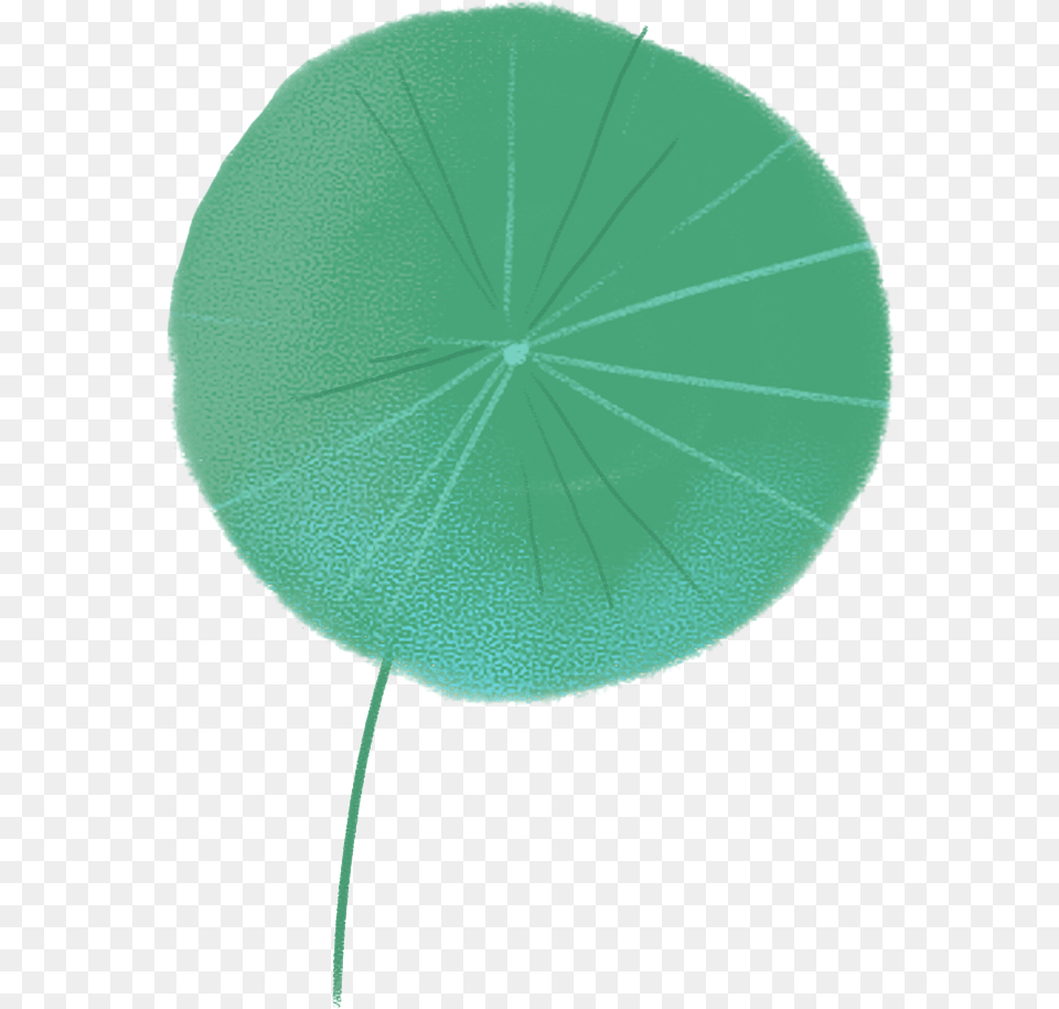 Umbrella, Green, Leaf, Plant, Flower Png Image