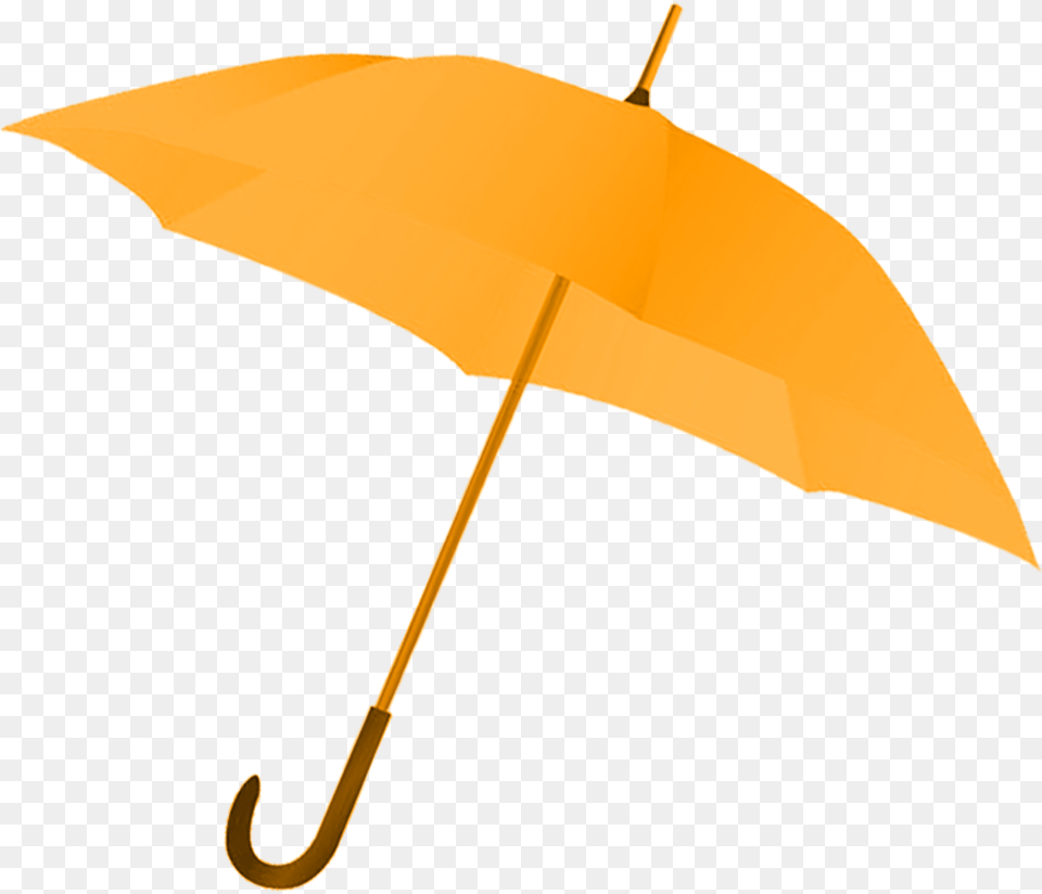 Umbrella, Canopy, Animal, Fish, Sea Life Free Png