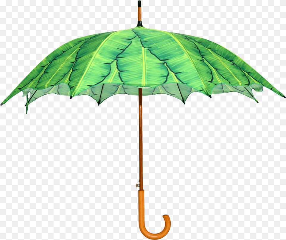 Umbrella Banana Leaves Umbrella, Canopy Free Transparent Png