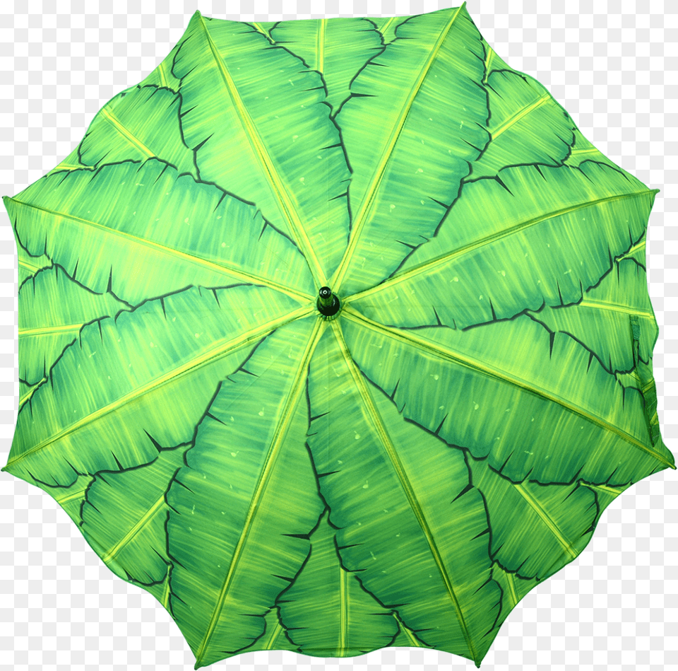 Umbrella Banana Leaves Umbrella, Leaf, Plant, Tree Free Transparent Png
