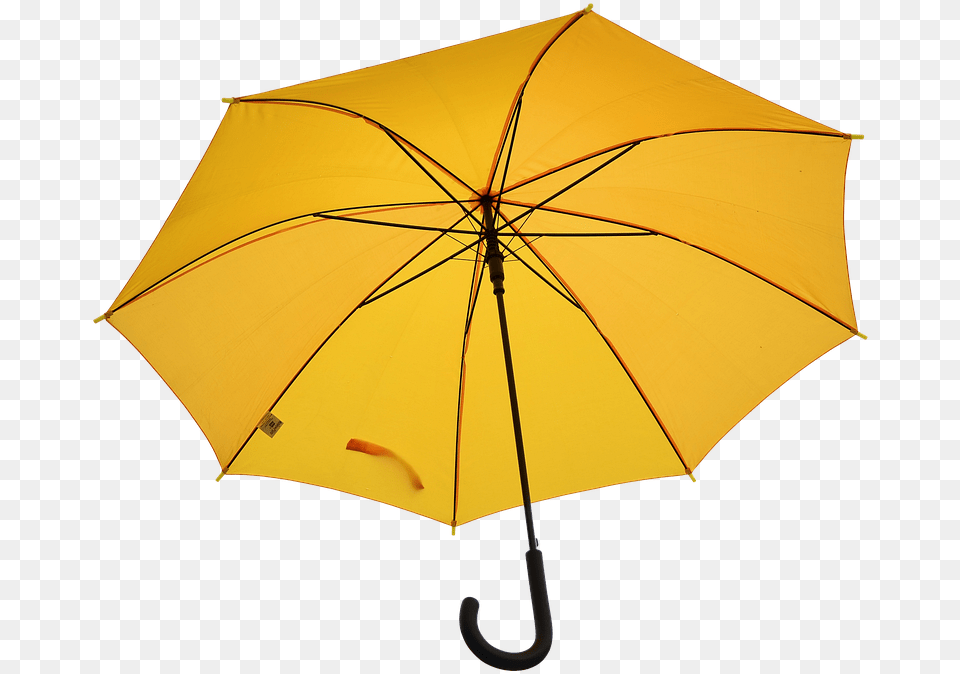 Umbrella Weather Rain Screen Wet Raindrop Umbrella, Canopy Free Transparent Png
