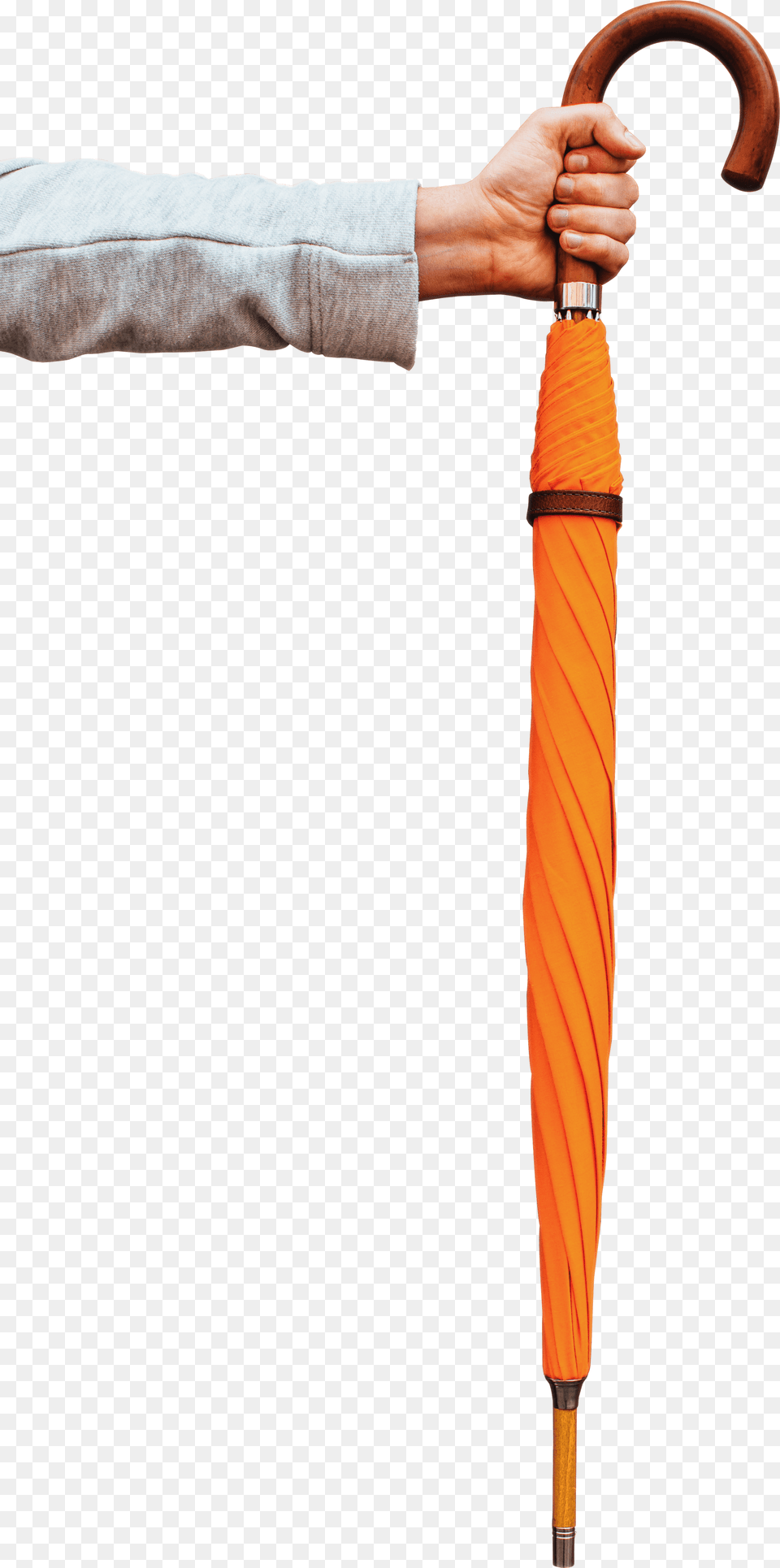 Umbrella Rope, Stick, Adult, Male, Man Png