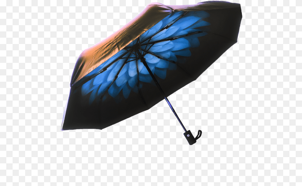 Umbrella Samurai, Canopy Free Png