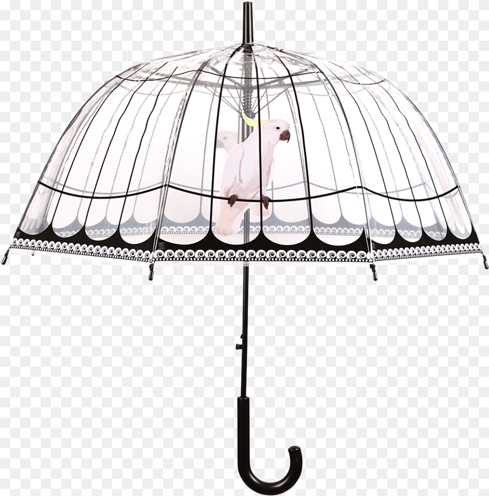 Umbrella Transparent Birdcage Umbrella, Canopy, Animal, Bird Free Png Download