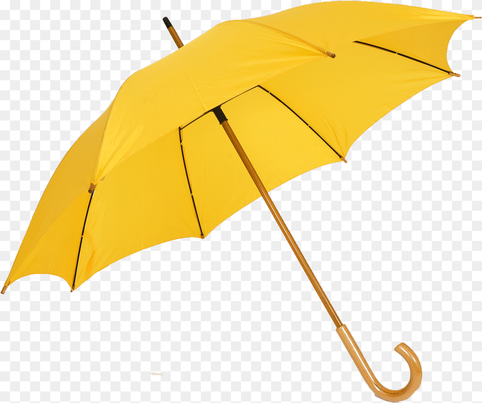 Umbrella Umbrella, Canopy Free Transparent Png