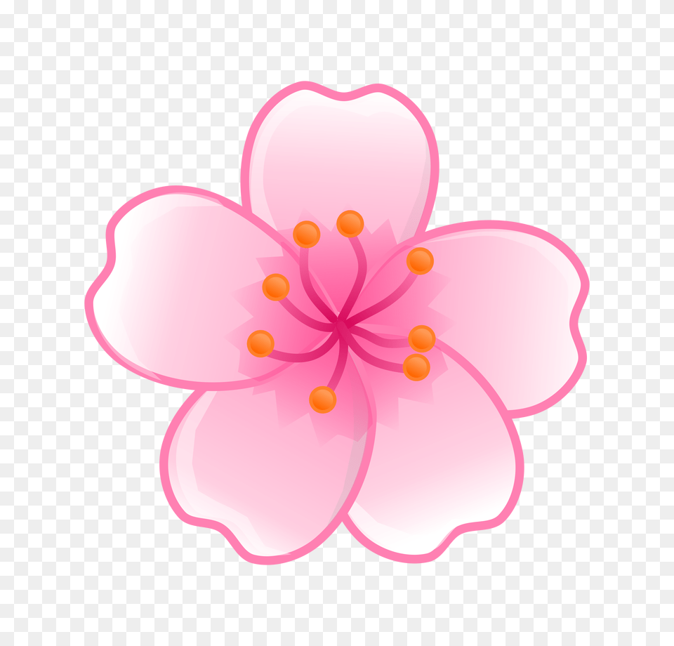 Ume Blossom Clipart Cartoon, Flower, Plant, Petal, Cherry Blossom Png