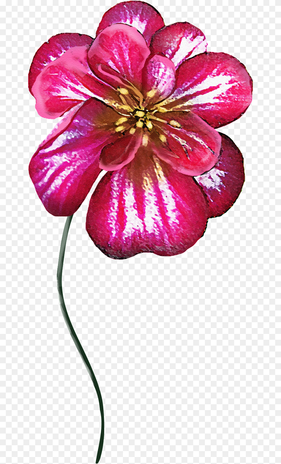 Un Brillante Flor De Colores Transparente Portable Network Graphics, Anther, Dahlia, Flower, Geranium Png