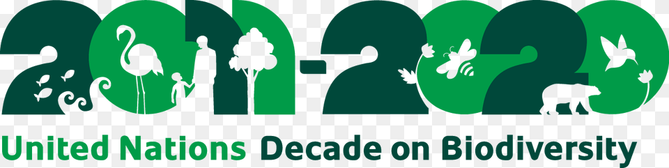 Un Decade On Biodiversity Decade Of Biodiversity Logo, Green, Person, Animal, Bear Free Png