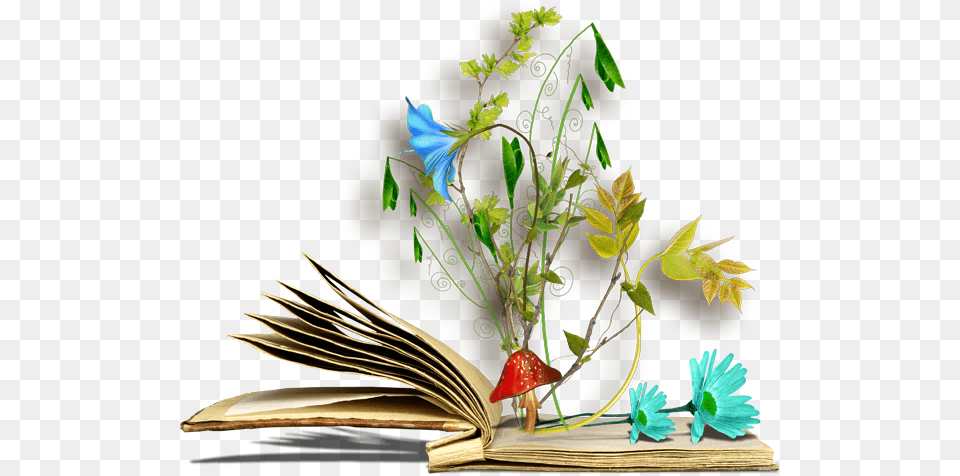Un Livre Ouvert Livre Ouvert En Couleur, Plant, Flower, Flower Arrangement, Ikebana Free Png