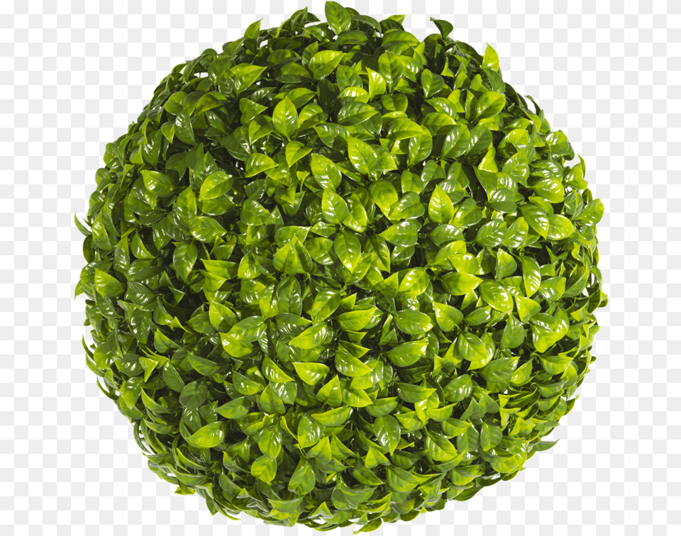 Un Real 33cm Artificial Topiary Ball Artificial Turf, Plant, Leaf, Food, Produce Free Png