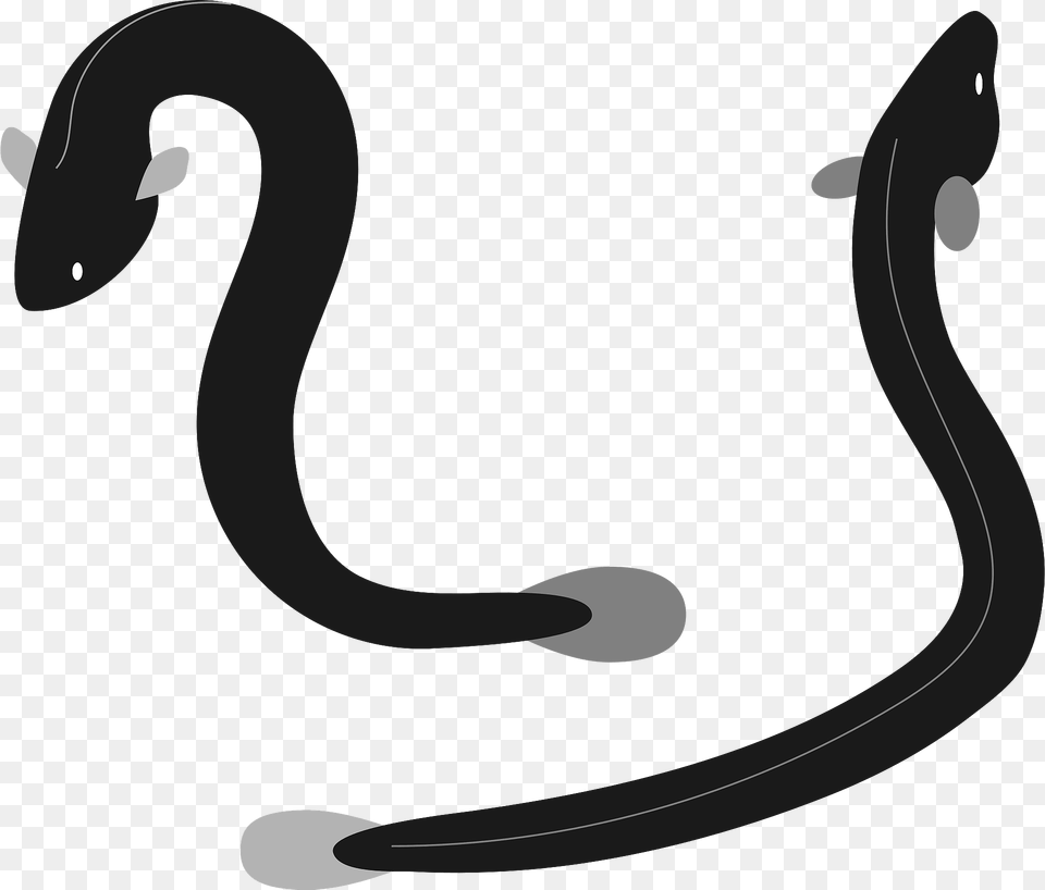 Unagi Eels Clipart, Electronics, Hardware, Animal, Fish Free Png