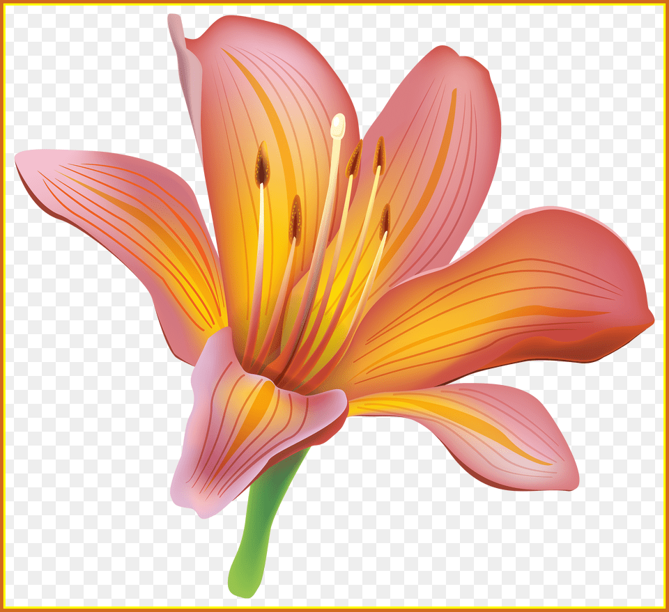 Unbelievable Flower Best Web Image Of Lily Clipart, Plant, Petal, Anther Free Png Download