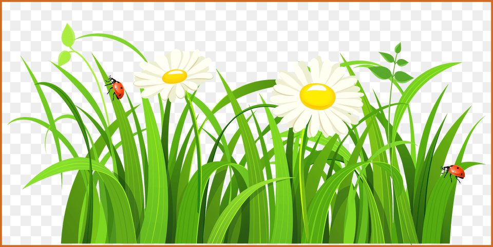 Unbelievable Girl Scouts Clip Art Daisy Pict Of Clipart Grass Vector Real, Flower, Plant, Green, Petal Free Png