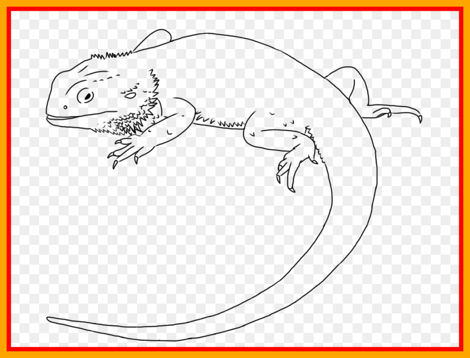 Unbelievable Result For Bearded Dragon Line Art Bearded Dragon Lizard Drawing, Animal, Reptile, Gecko Png Image