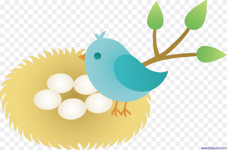 Unconditional Bird Cartoon With Bird In Nest Clipart, Animal, Jay Png