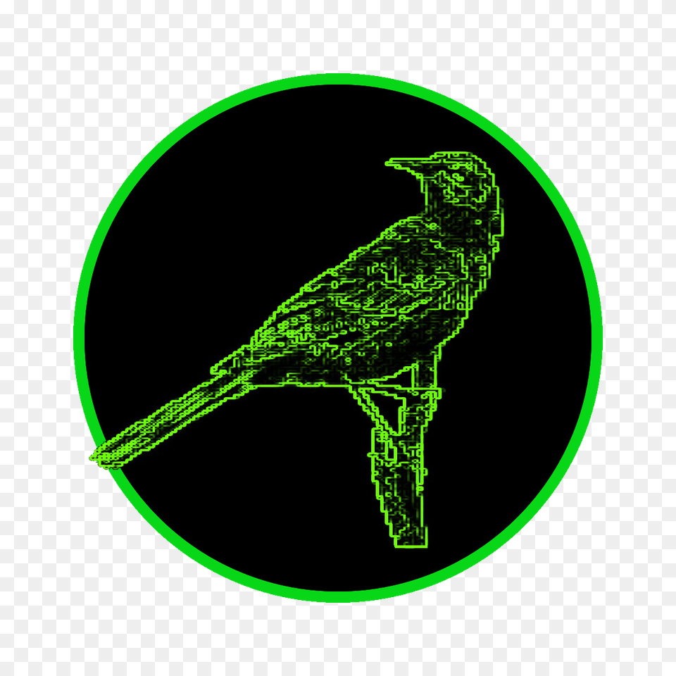 Undead Mockingbird Injustice Anywhere Is A Threat To Justice, Animal, Bird, Blackbird, Green Free Png