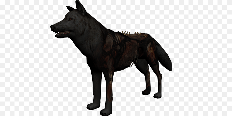 Undead Wolf Red Dead Wiki Fandom Powered, Animal, Mammal, Canine, Dog Free Png Download