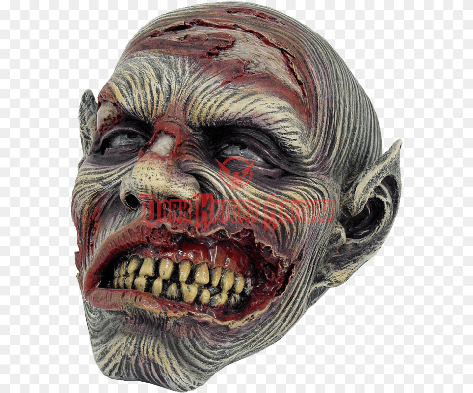Undead Wrinkled Flesh Zombie Skull Statue Halloween, Adult, Male, Man, Person Free Transparent Png