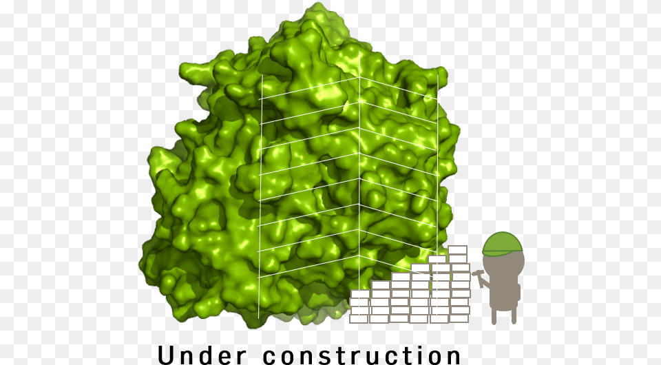 Under Construction Illustration, Art, Green, Graphics, Food Png Image