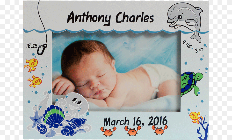 Under The Sea, Baby, Newborn, Person, Face Png