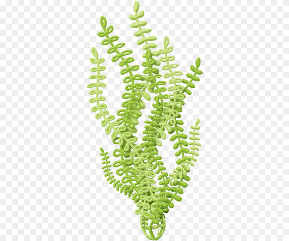 Under The Sea, Fern, Plant, Moss, Leaf Png Image