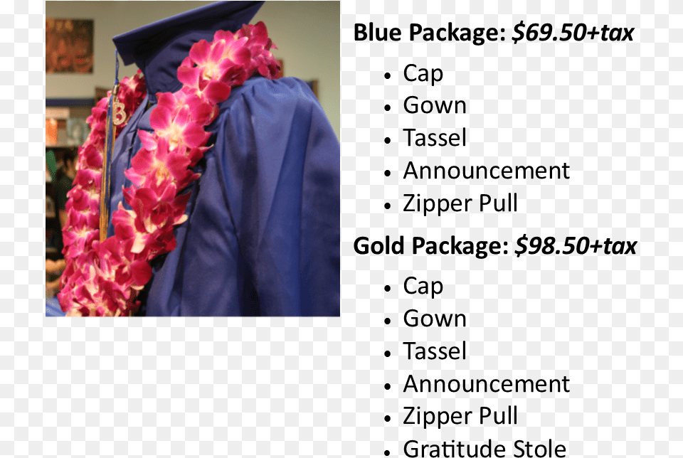 Undergraduate Package Academic Dress, Accessories, Plant, Person, Flower Free Png