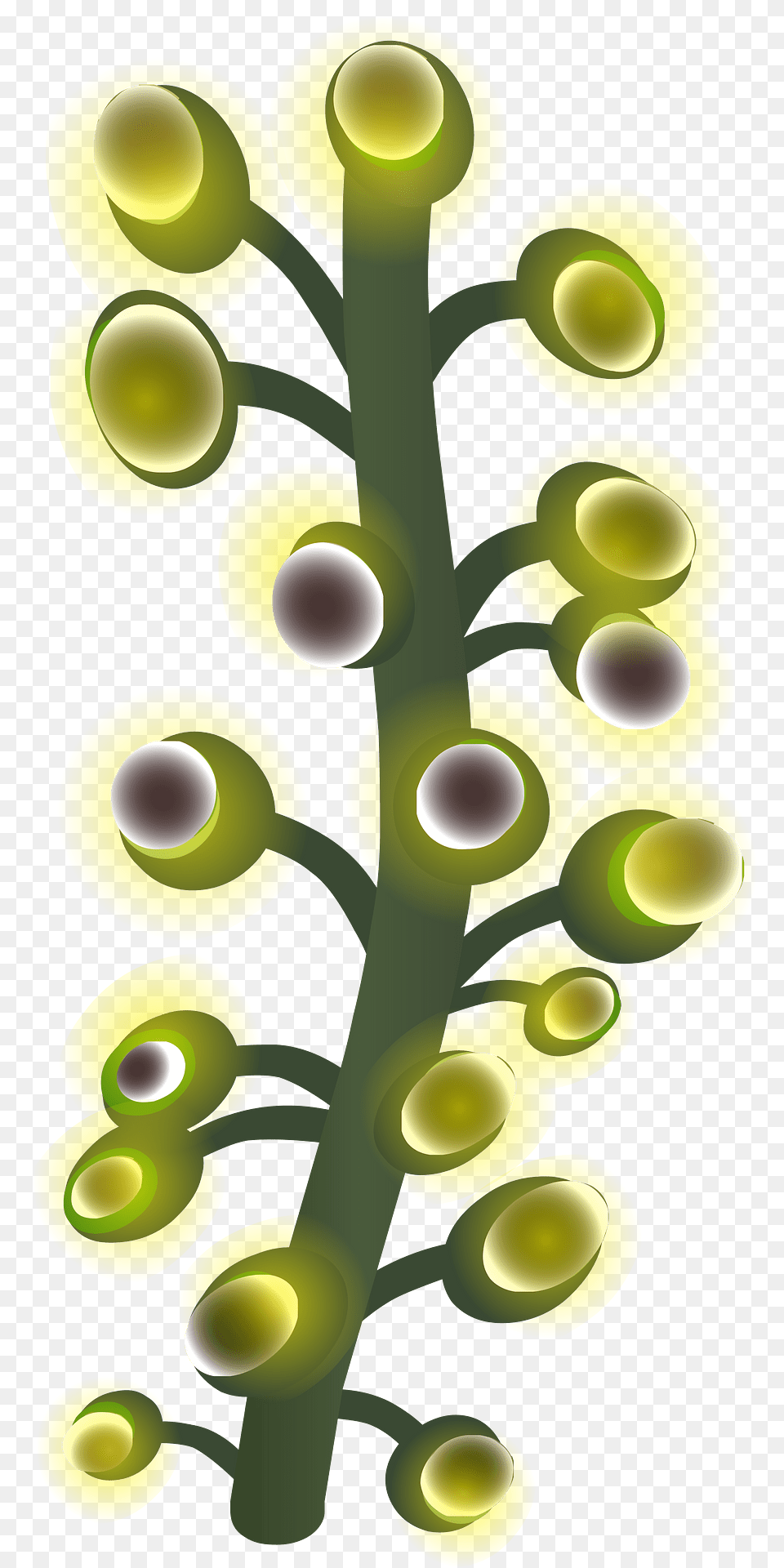 Underground Willow Clipart, Art, Floral Design, Graphics, Green Png