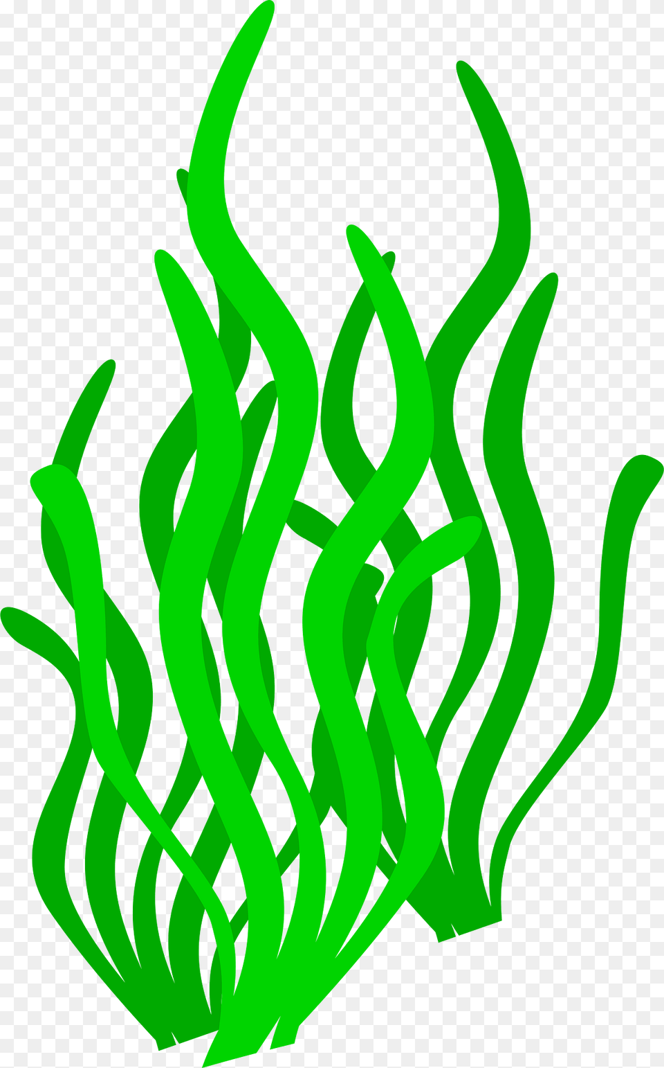 Undersea Clipart, Grass, Green, Plant, Seaweed Png Image