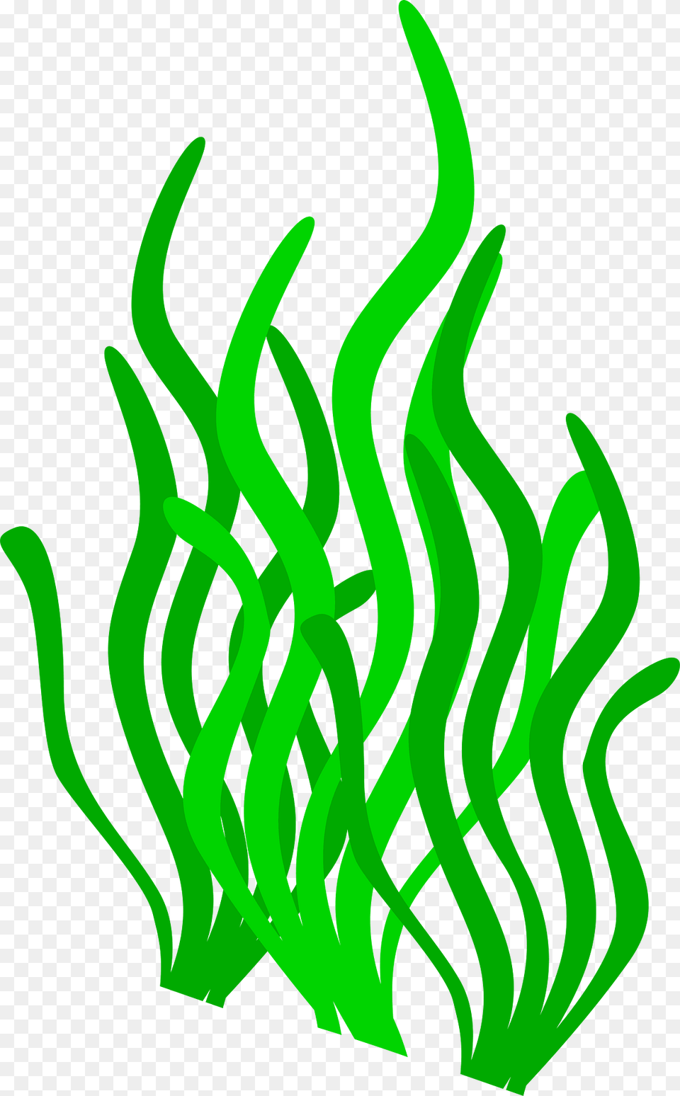 Undersea Clipart, Grass, Green, Plant Free Png Download