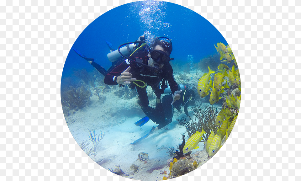 Underwater, Water, Nature, Outdoors, Sport Free Png