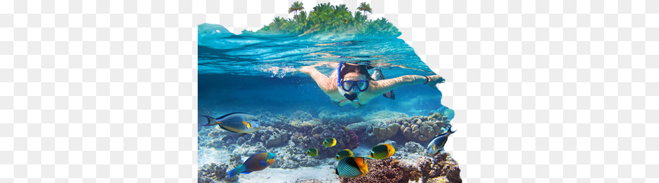 Underwater Activities Sea In The Maldives, Outdoors, Water, Nature, Person Free Png
