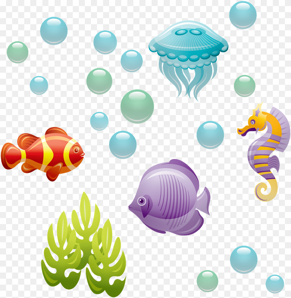 Underwater Bubbles, Animal, Fish, Sea Life, Baby Png Image