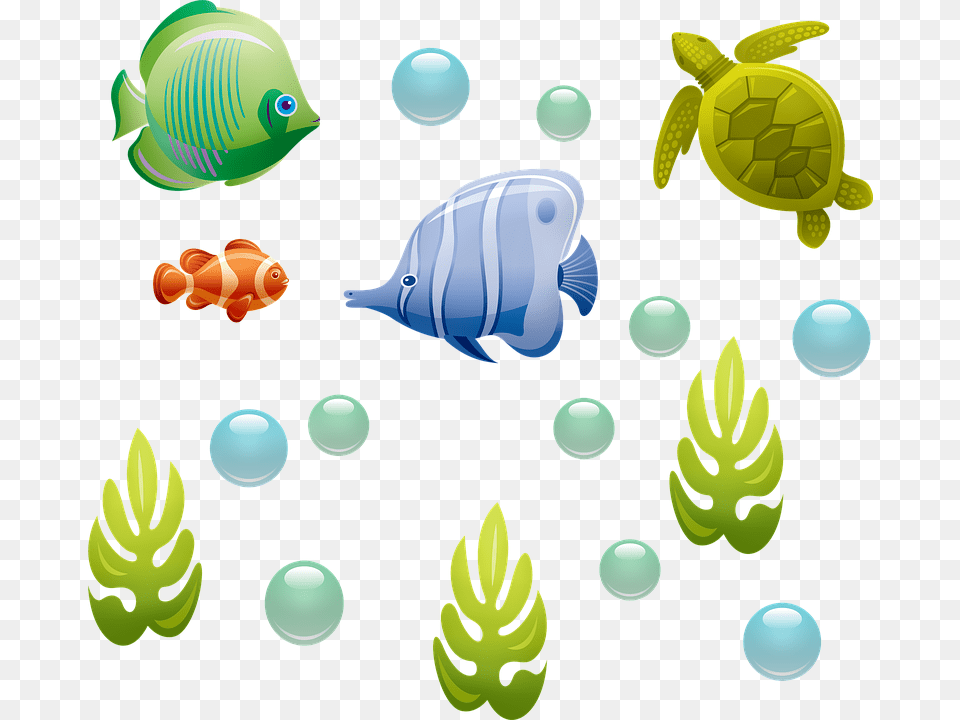 Underwater Bubbles, Animal, Reptile, Sea Life, Turtle Free Png