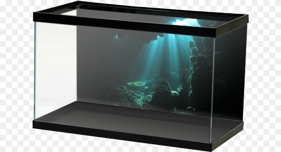 Underwater Cave Aquarium Background Plain, Animal, Sea Life, Water, Fish Free Transparent Png
