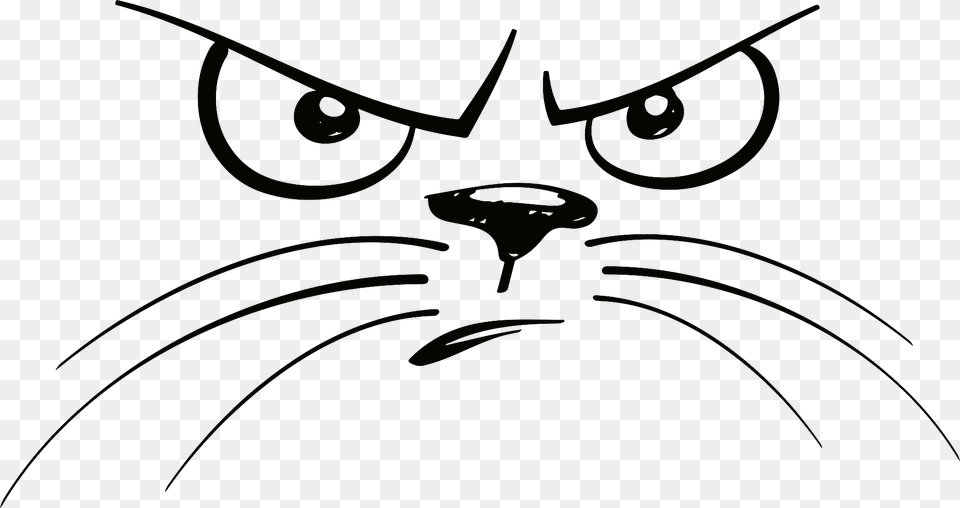 Unhappy Cat Face Clipart, Animal, Mammal, Pet, Fish Png Image