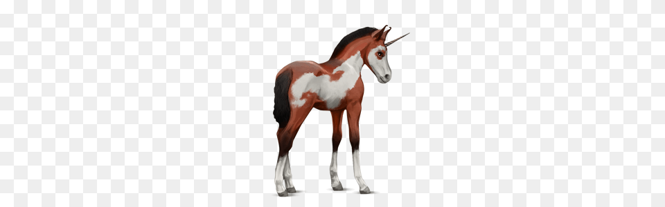 Unicorn, Animal, Colt Horse, Horse, Mammal Free Png