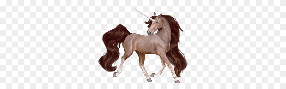 Unicorn, Animal, Colt Horse, Horse, Mammal Free Transparent Png