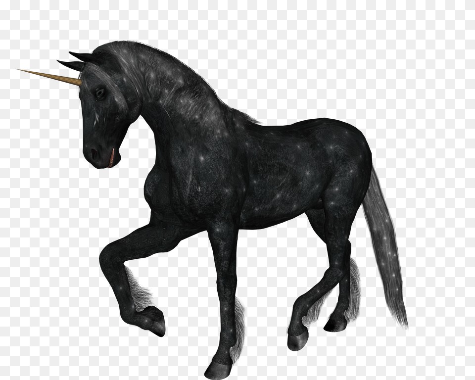 Unicorn, Animal, Horse, Mammal, Stallion Free Png