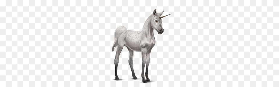 Unicorn, Animal, Horse, Mammal, Andalusian Horse Png