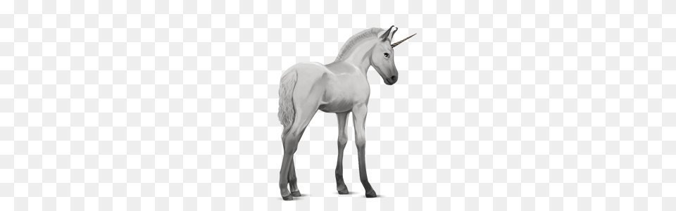 Unicorn, Animal, Horse, Mammal, Andalusian Horse Png Image